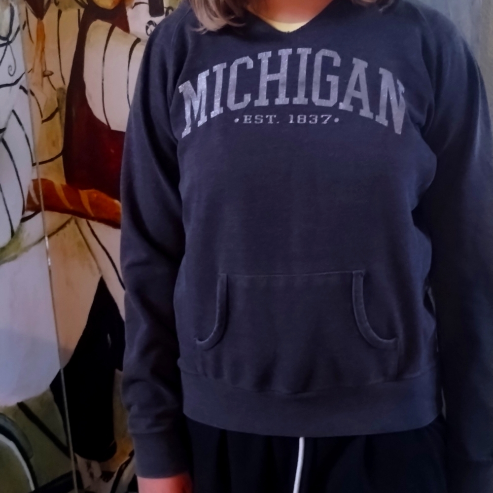Michigan Hoodie; Gray